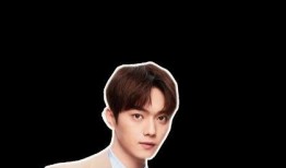 爆料许凯张楠视频播放,网络热议背后的真相揭秘