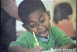 旭东最新爆料,揭秘娱乐圈最新动态与幕后真相