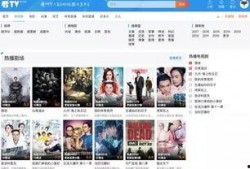 中国避孕套爆料视频网站,隐私边界与网络监管的较量